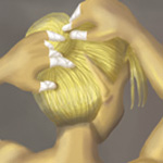 Becoming Sheik